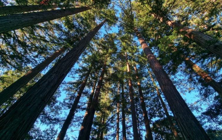 CapeNature1's tweet image. Through collaborations and excellent working relationships CapeNature and partners responded to 86 fires in the Western Cape from April 2021 to March 2022. 

Find Out More🚒💪🔥 zcu.io/KwTf 

#CapeNature #FiresSafety