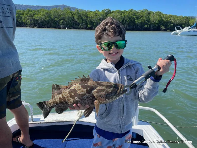 fish_tales's tweet photo. Estuary fishing in July
#goldspottedestuarycod #cairns  #estuarycod #trinityinlet🛥 #barra #guidedfishingcairns #barramundi #fishtalescairns @queensland #estuary #mangroves #fishinguptheinlet #theFNQway #instafishing @visitqueensland #cometocairns2022 #livebaitfishing https://t.co/07oh7AvA5q