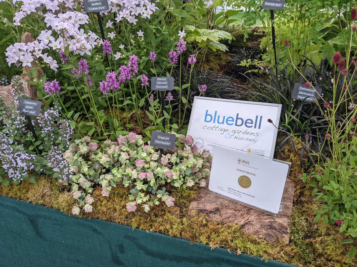 Sue Beesley tweet media