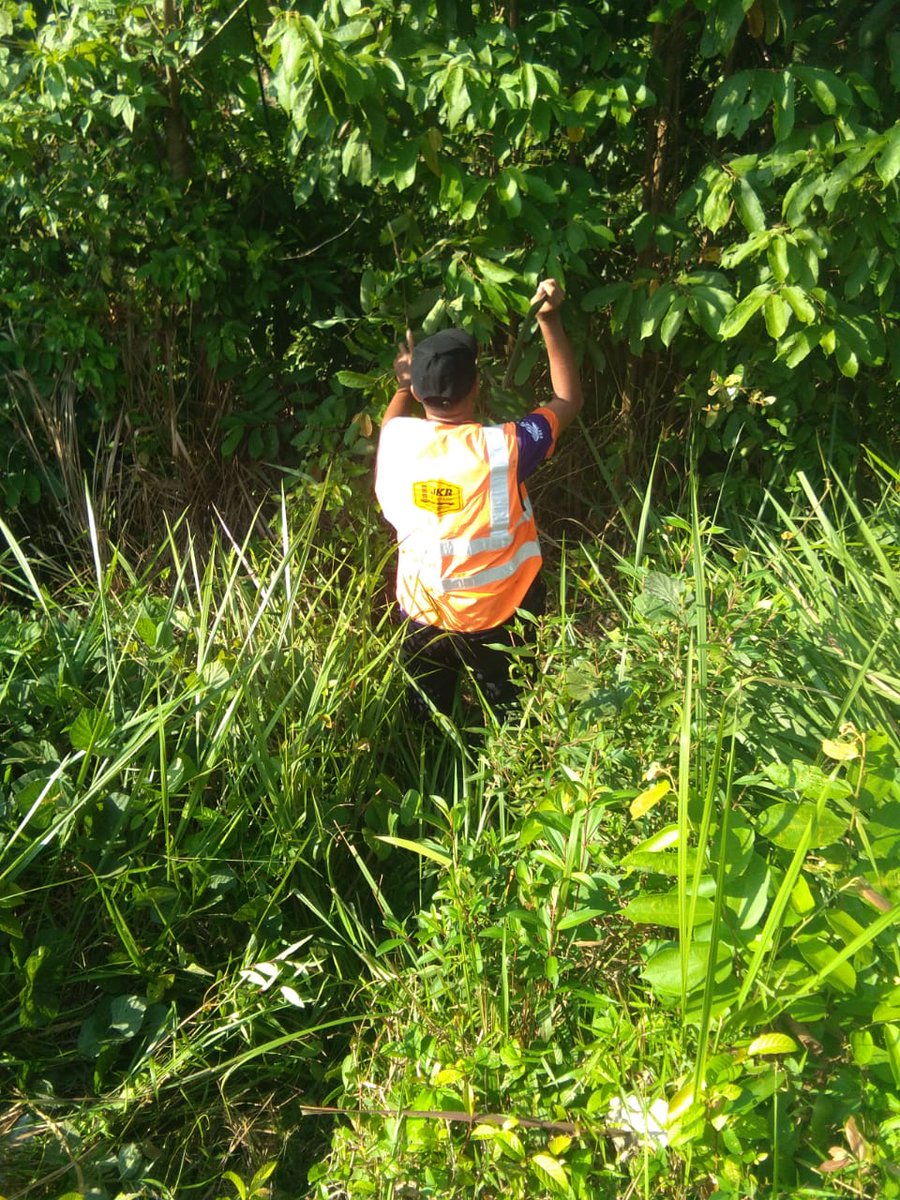 18.07.2022( Isnin )

Kerja-kerja penyelenggaraan bahu jalan di Kompleks Penyayang Lesung Batu bagi menjamin keselamatan dan keselesaan pengguna jalan raya.
<a href="/bukitmulia/">Ir Ismail Abd Rahman</a> <a href="/Haidir_Haron/">Haidir</a>