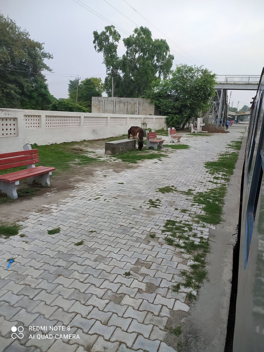 Raised awareness about the arrival of stray animals at Ferozepur city station, after which a complaint was made to the railway department, after which this issue was not taken into consideration. <a href="/RailMinIndia/">Ministry of Railways</a> <a href="/AshwiniVaishnaw/">Ashwini Vaishnaw</a> <a href="/PMOIndia/">PMO India</a> <a href="/srdcmfzr/">Sr DCM FZR</a> <a href="/HqNrmu/">NRMU HQ DIVISION (सत्यमेव जयते) 🕊️</a> <a href="/AmitShah/">Amit Shah</a>