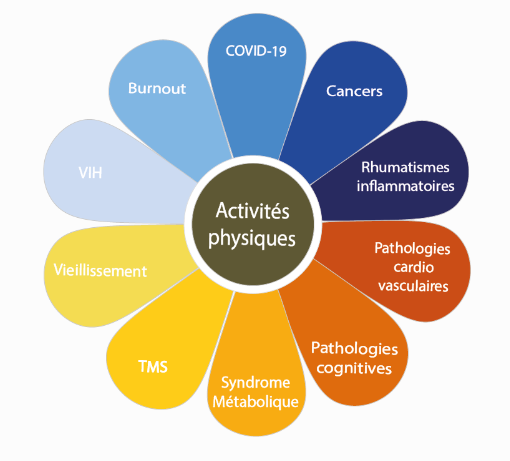 📣Appel à communications: 
📆Les "Deuxièmes Journées Scientifiques et Académiques - Activités physiques et maladies chroniques" se tiendront du 26-27 octobre 2022 <a href="/Univ_St_Etienne/">Université Jean Monnet Saint-Étienne</a> <a href="/UnivDouala/">Université de Douala</a>.  
🖊️Deadline 10 septembre 2022.  

Plus d'informations : ujm.chaire-sante-aines.fr