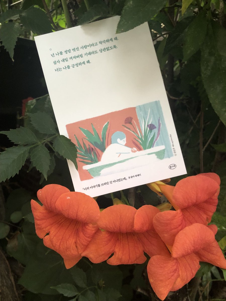 윤설야 tweet media