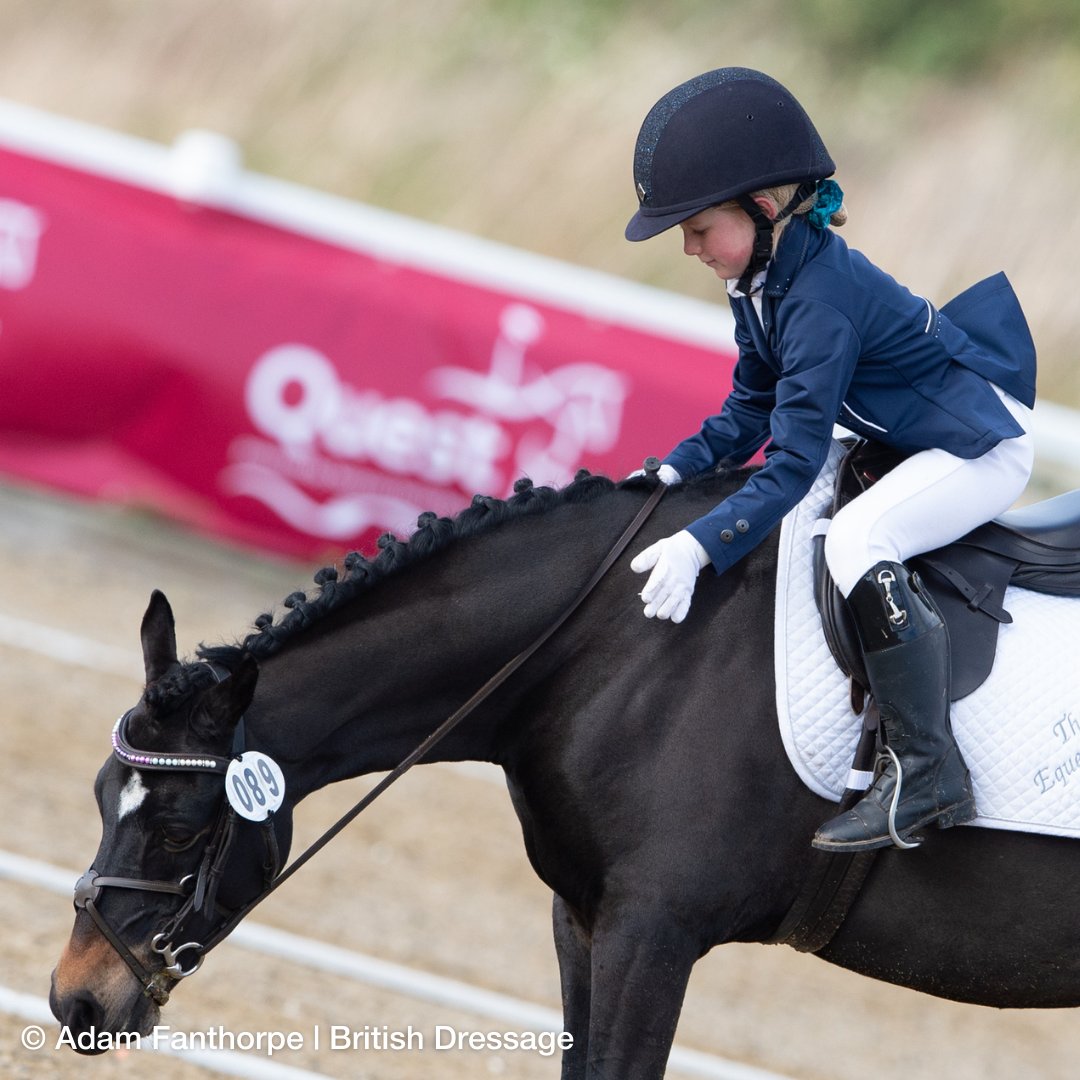 Quest Club BD tweet media