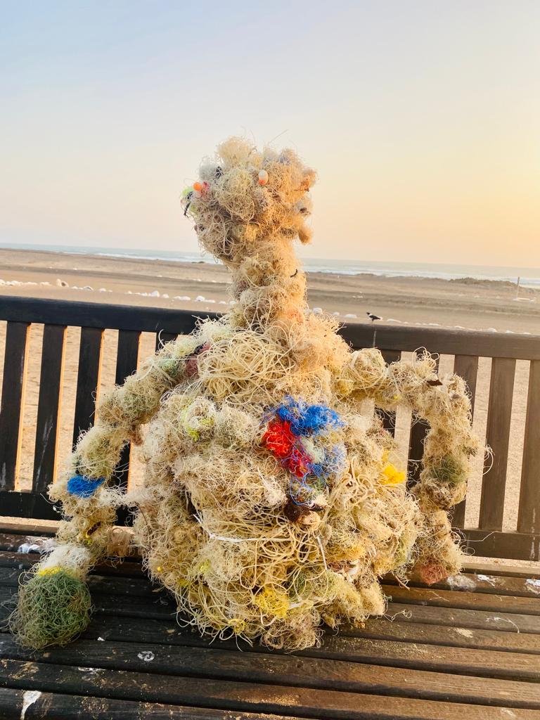 BCLME3's tweet photo. Fishing line (a total of 9.2 kg) from a 100m stretch of #beach in the Skeleton Coast National Park, #Namibia. #plasticpollution https://t.co/aq28FiDFHO