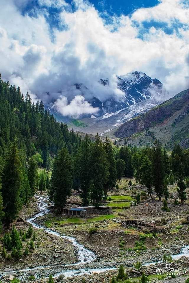 GBTourism_'s tweet photo. Gappa Valley, Chaprot, Nagar , Gilgit Baltistan, Pakistan.❤️🥰 https://t.co/Md2wE6TNS7