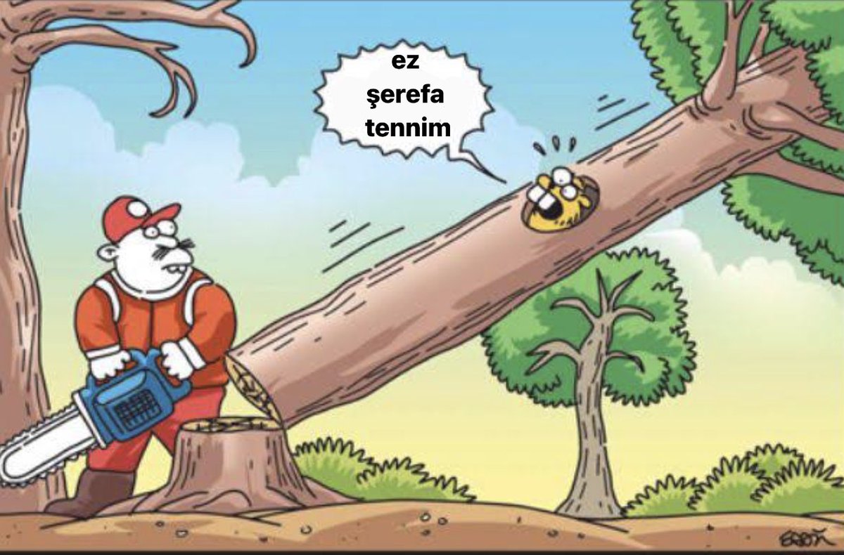 #ŞırnaktaOrmanKatliamı