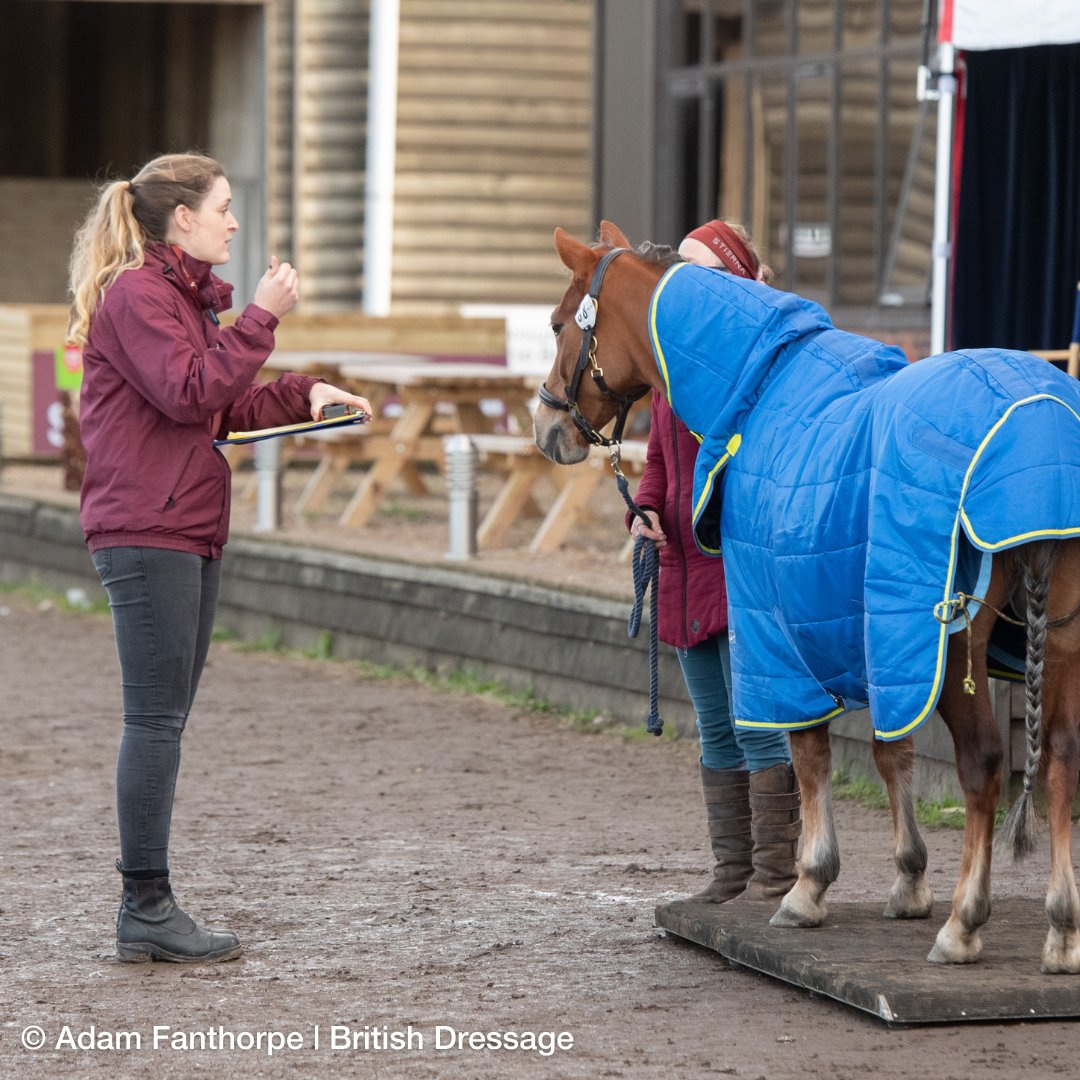 Quest Club BD tweet media