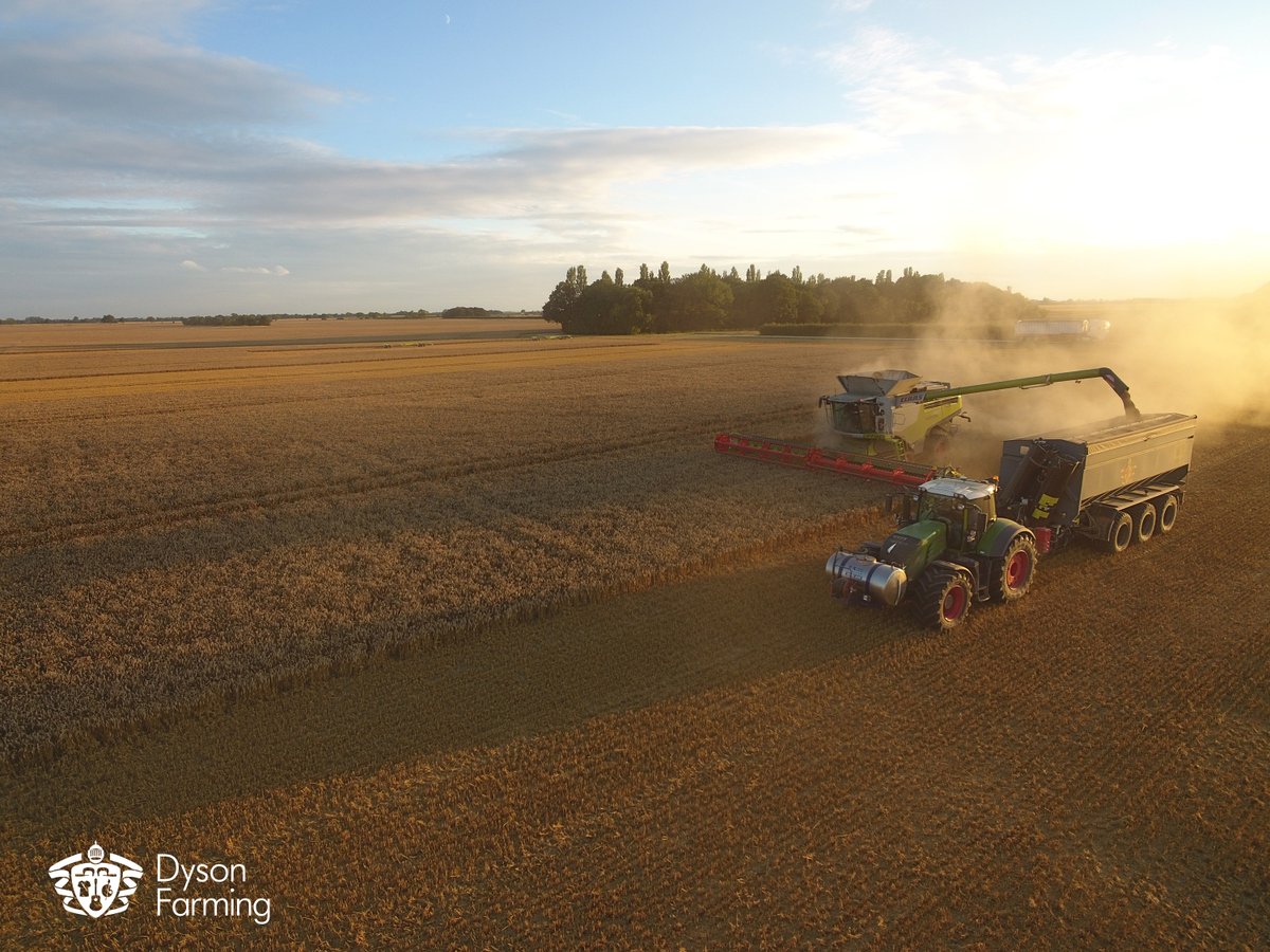 DysonFarming's tweet photo. Join the Dyson Farming team.
We’re looking for experienced bin chaser and pea viner operators to join our team in Carrington, Lincolnshire. Find out more information via the link below.
https://t.co/AfyGP47wdW 
#agriculture #jobvacancies #lincolnshire #bostonlincs https://t.co/1puy56VPfy