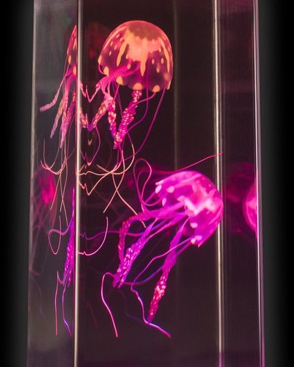 As seen on Channel 10 – The Living Room! The Jellyfish Lamp is very cool!
Available online and instore ow.ly/tge950JZLtG