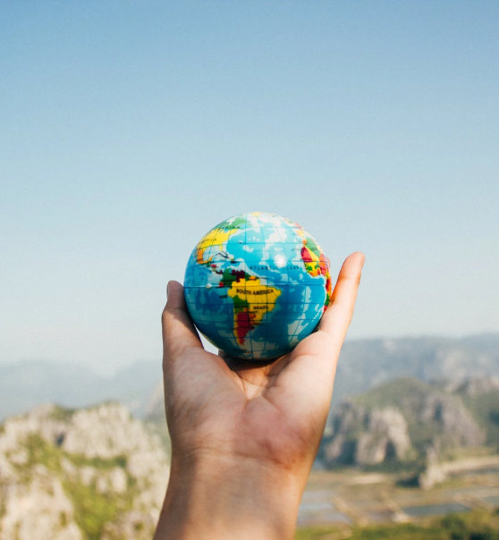 Want to know how green your pension is? Use our free pension calculator to find out how your savings shape our world 🌍🌱🍃goinvestgreen.com/workplace-pens…