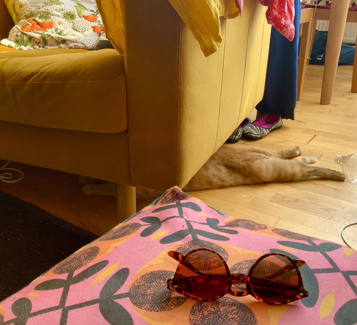BurtOHare's tweet photo. Spot the cat seeking shade ☺️ Our young red man has had enough.

#HotKitty https://t.co/eF9Li42UnC