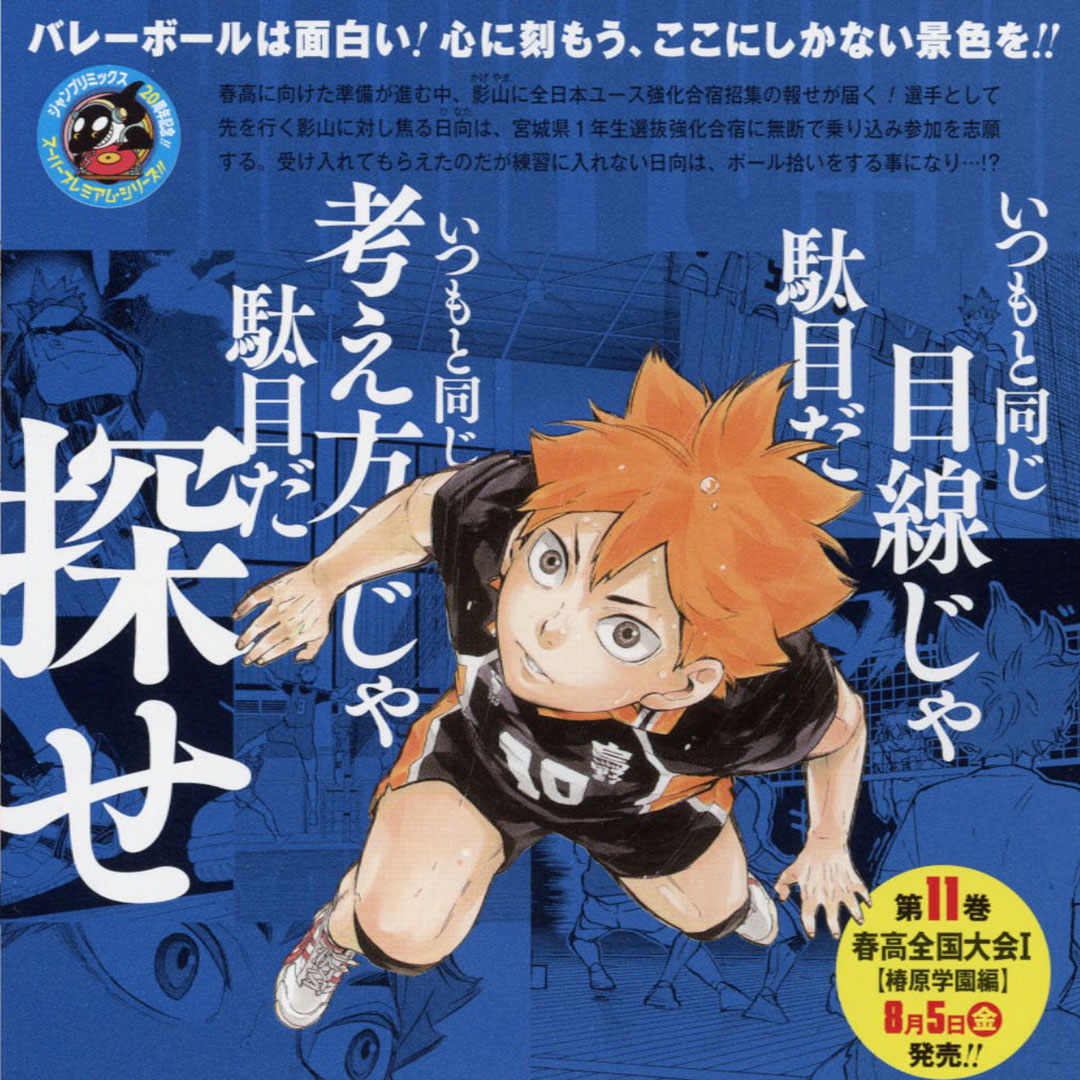 ハイキュー 10th クロニクル 内容 ハイキュー10巻〜45巻 33.5巻