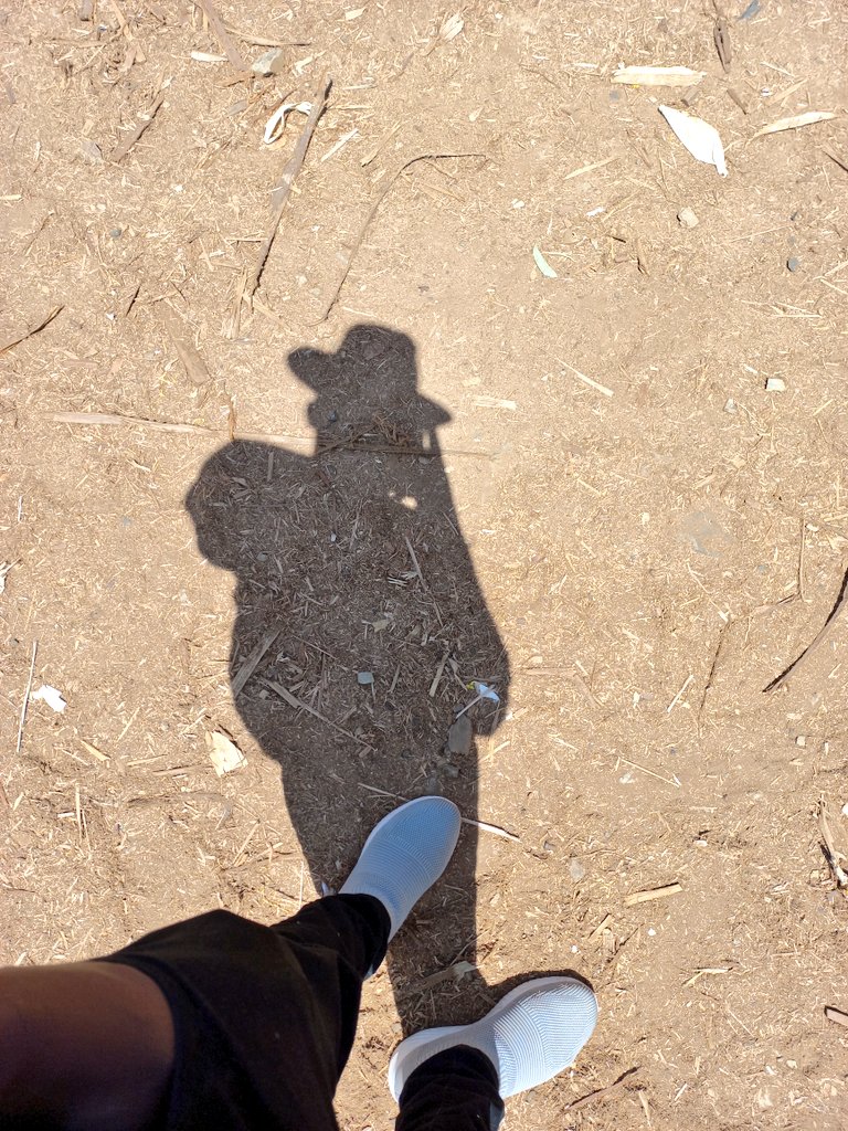 dnahinga's tweet image. Here again to buy timber.

Immediately after buying land, plant trees along the Perimeter and even on the parcel itself. 

You will use it as formwork, profile or roofing timber when ready to build.

You can also use it for making dog kennels or catteries.

#PracticeNotes
#Build