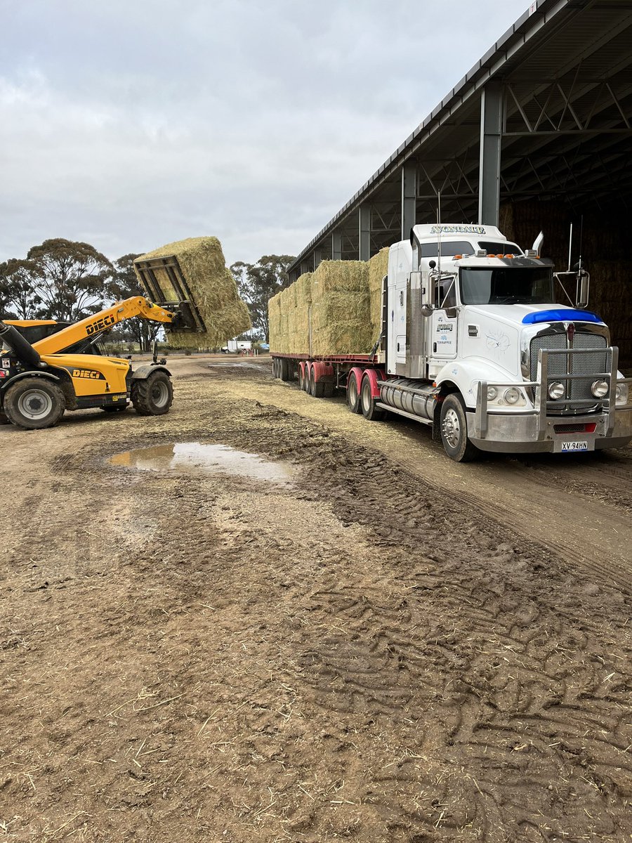 Peter Sexton tweet media