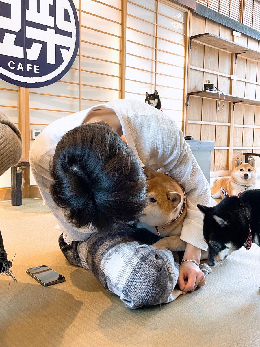 ltgirl92's tweet photo. จริงๆ ผม #ออลอิล ครับ 🤘🏼🥺

#ทูแท #โดอิล #จองอิล #แจอิล #2tae #doil #jungil #jaeil https://t.co/Q91xhTKMGF