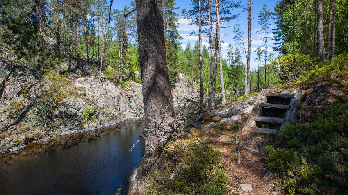 Saimaa UNESCO Global Geopark tweet media