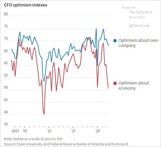 VKMacro's tweet photo. This is a pretty interesting divergence regarding CFO optimism on the economy vs. their own company. https://t.co/ZzXoShgyPu