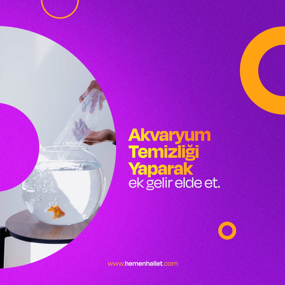 Akvaryum temizliği yaparak ek gelir elde edebilirsin!

Çevrende akvaryum temizliği yapmaya vakti bulamayan kişilerin sana ulaşmasını sağla hemen kazanmaya başla!

#temizlik #akvaryum #ekgelir #hemenhallet
