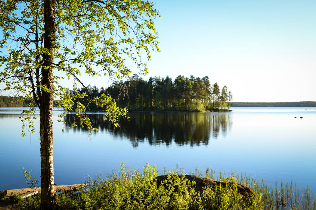 Mahdollisuudet päästä julkisilla kansallispuistoihin lisääntyvät. Nyt pääsee <a href="/VisitKokkola/">Visit Kokkola</a> järjestämällä retkibussilla Salamajärven kansallispuistoon. Lähtö Kokkolan torilta. Hienoa!
visitkokkola.fi/retkibussi/