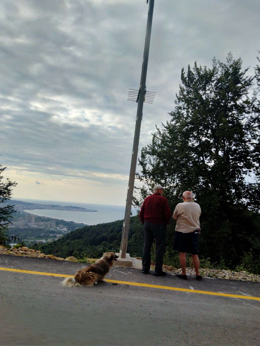 Arabayla giderken yanlışlıkla çektiğim fotoğrafa bakın