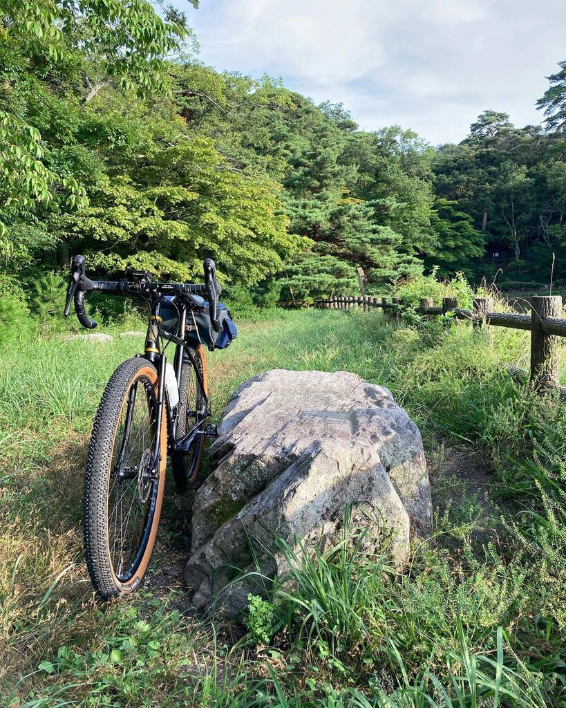 anchor315's tweet photo. これからずっとこんな夏になるんでしょうね。#再度公園 #sigrando #grumpy_bike https://t.co/dx7h3HcZ1V