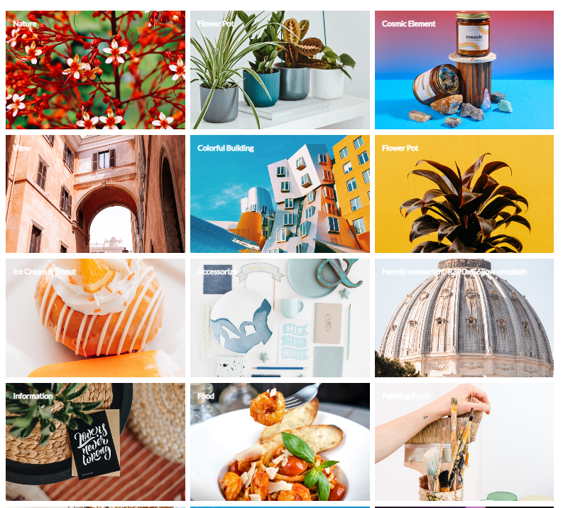 hanifkhan9785's tweet photo. You can create photo gallery with classical square grid layout.

Grid Gallery is the best for any site who showing their images like a gallery and slider combine.

#gallery #gridgallery #plugin #wordpressdevelopment 

Check Plugin Demo:- https://t.co/ycYSiK5RWc https://t.co/QqkLsn1QwO