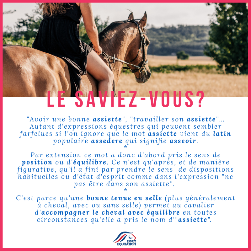 EEquitation's tweet photo. 💭 #LeSaviezVous ❓

Vous avez déjà froncé les sourcils en entendant votre coach vous parler de "travailler votre assiette" en vous demandant d'où pouvait bien venir cette expression? Oui? Nous aussi! 😉
Nous sommes donc allé chercher pour vous l'histoire de cette expression ! 🕵️ https://t.co/9L0A011fe8