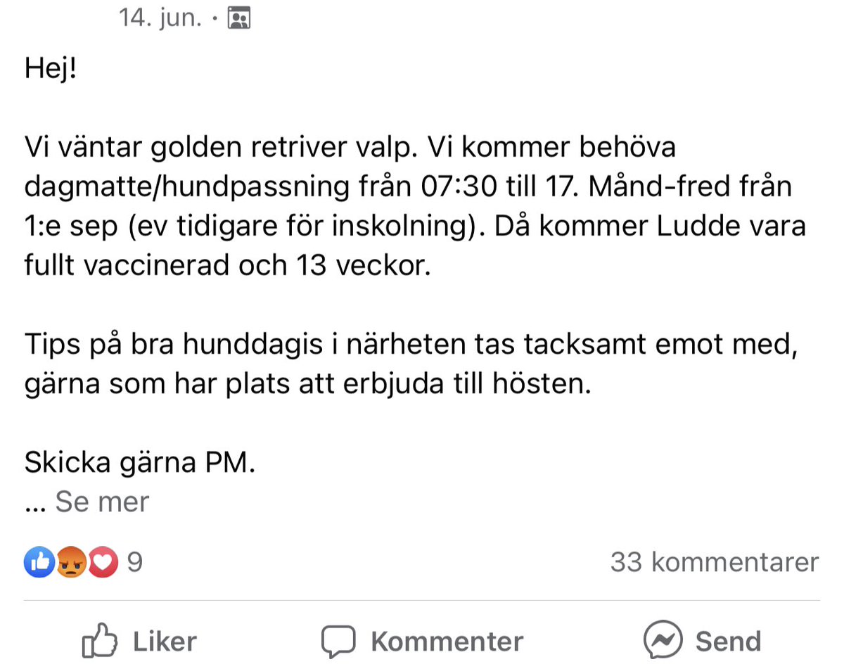 fieso's tweet photo. URSÄKTA MIG?!? Men vem fan skaffar hund för att lämna bort den 10h om dagen??? Du skaffar hund som en familjemedlem och för att du VILL spendera tid med den?? Wtf?? https://t.co/tSNv3kAh93