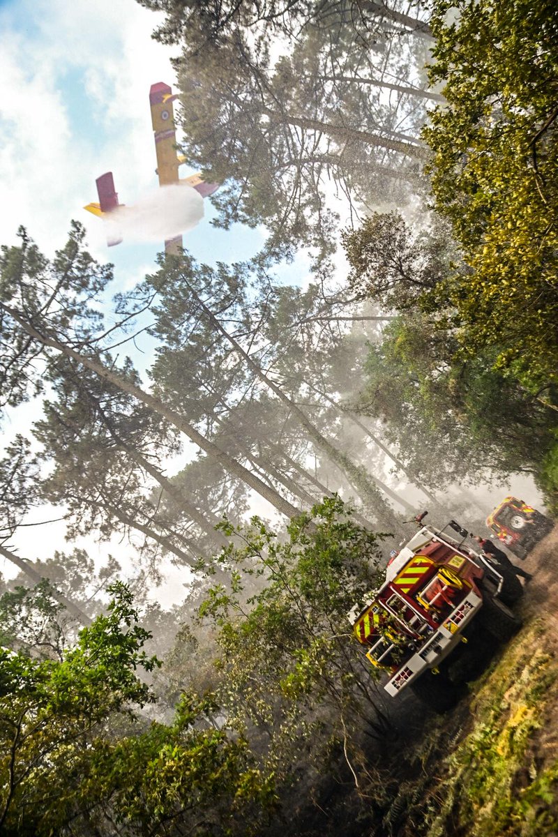PompiersFR's tweet photo. #FeuxDeForet | Mettre tout en œuvre depuis la terre et les airs afin attaquer les incendies qui touchent notre pays. #testedebuch #Landiras

📸 @ludomorand / FNSPF https://t.co/eTrZ2retNO