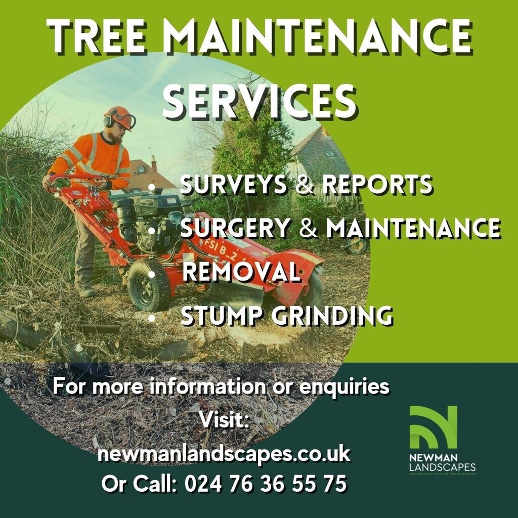 new_landscapes's tweet photo. Newman Landscapes Ltd has a dedicated #TreeTeam that can cater to all of your #arboriculture needs.
Our experts can help you with any advice you might require, along with:
Surveys & Reports
Tree Surgery & Maintenance
Tree Removal
Stump Grinding
For more information eith⦠https://t.co/z1jHmtYZYf
