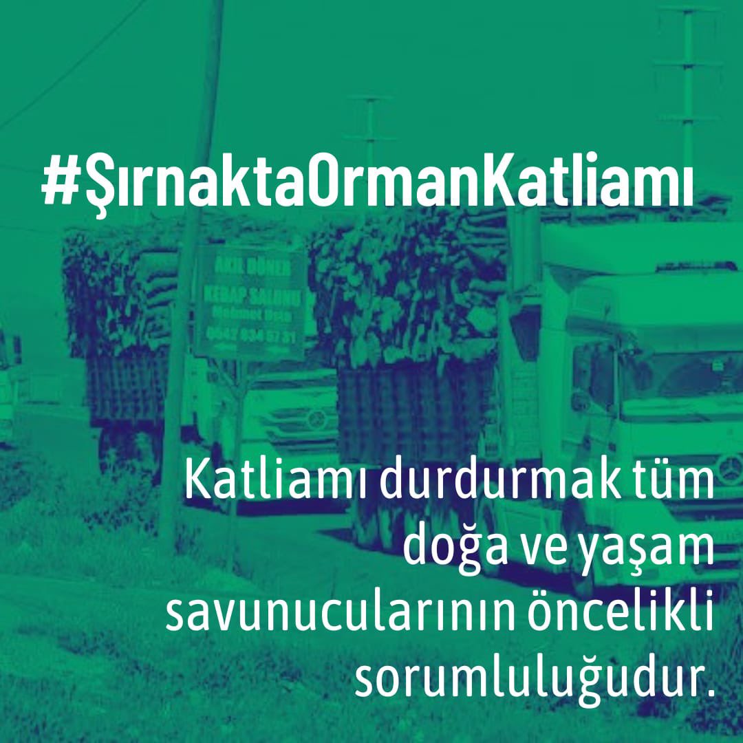 Şırnak'a ses verdiğimiz için bizi, niyetimizi sorgulayanlar olmuş... 

Niyetimiz, muradımız nettir;

Halklarımızla, doğanın tüm bileşenleriyle barış ve huzur içerisinde yaşamak. 

#ŞırnaktaOrmanKatliamı