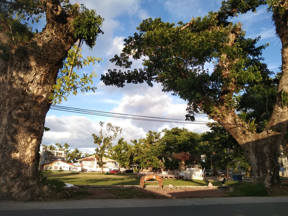 forda gala ang ferson. Proud Probinsyana here. Problemado lang ang ferson kaya nagpapahangin🥲