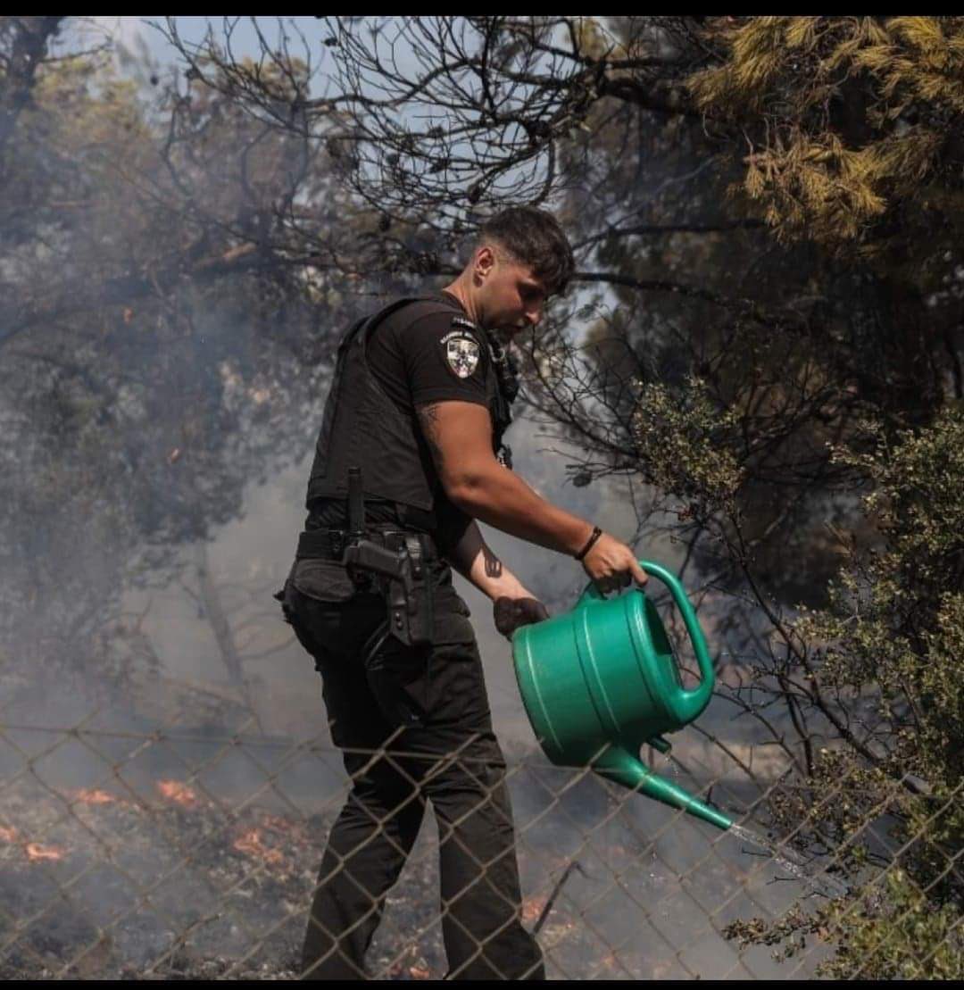 To_pouli_tou_Rouli tweet media