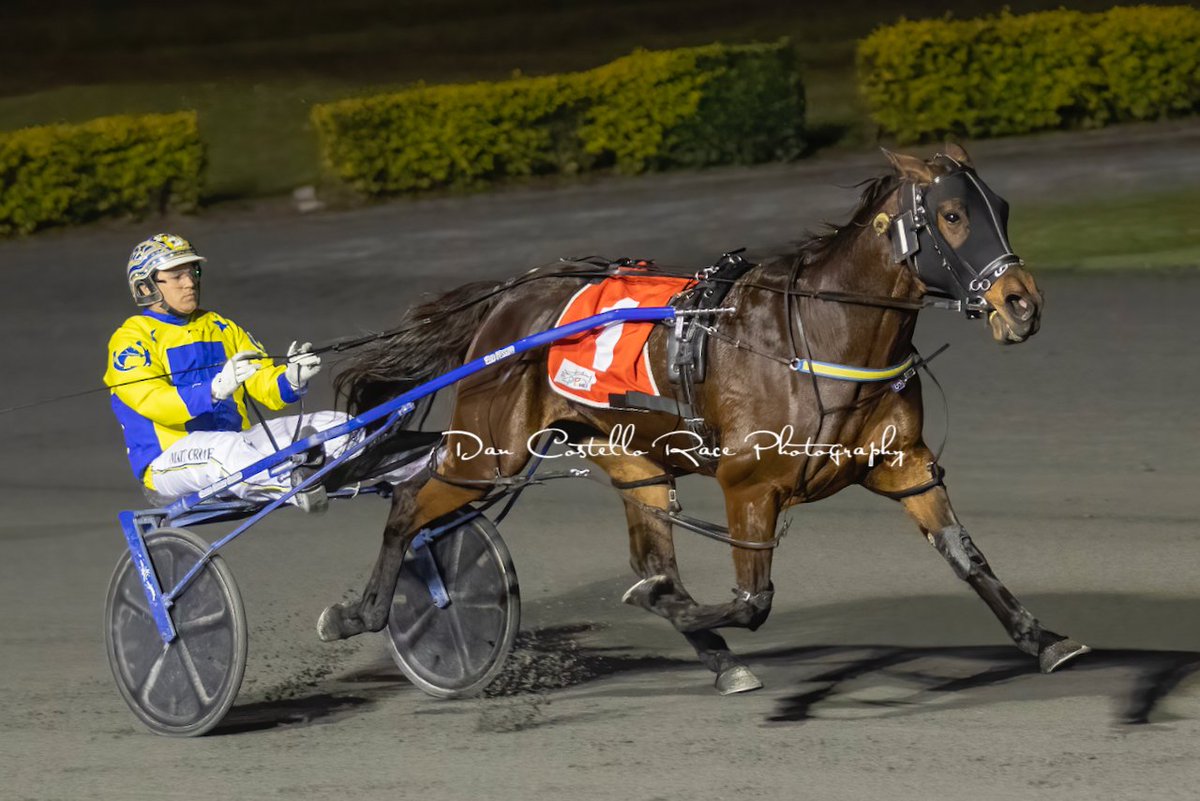 Dan Costello (@danracingwrap) on Twitter photo Race favourite Furiosa in all the way win race 6 <a href="/redcliffe_hrc/">Redcliffe Harness Racing Club</a> with <a href="/crone_matthew/">Matthew Crone</a> for trainer Kay Crone Race favourite Furiosa in all the way win race 6 <a href="/redcliffe_hrc/">Redcliffe Harness Racing Club</a> with <a href="/crone_matthew/">Matthew Crone</a> for trainer Kay Crone