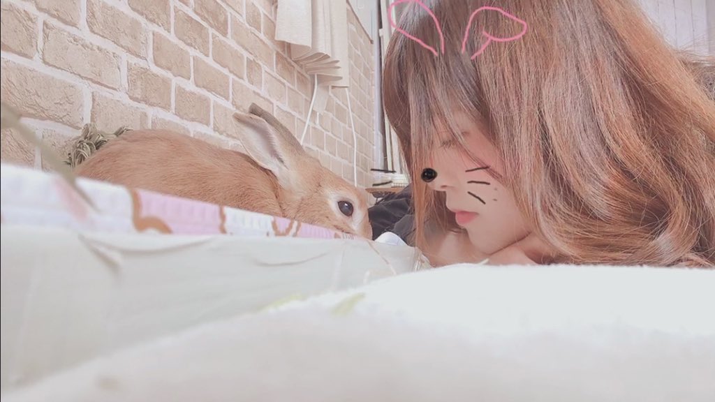 tkcp0502's tweet photo. くうちゃん13歳、私28歳の誕生日です☺️💗
両目白内障で見えなくなって原因不明の体調不良2週間。頑張ってくれてます😭
毎日そばにいられるだけで幸せです。幸せをありがとう。
毎年恒例のずーっと一緒にいようね。 https://t.co/YbRHFrChix