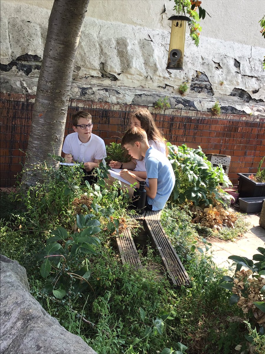 MissSChappell's tweet photo. To escape the heat we found a spot in the shade where we could practise our sketching skills through observational art ✏️ 🍃 💐 https://t.co/SdvNZMYA4L