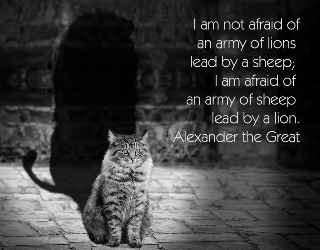 MaddisonCoach's tweet photo. Thoughts on the importance of leadership from someone who has gone down in history as one of the world's greatest leaders...

Alexander III of Macedon, known as 'the Great', born on this day 356BC.

#leadership #power #potential https://t.co/IdeqNTZFFM