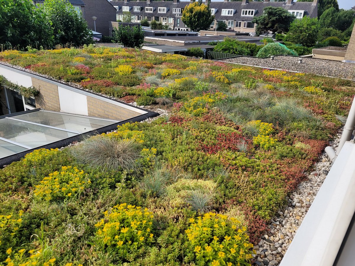 Wouter den Boer tweet media