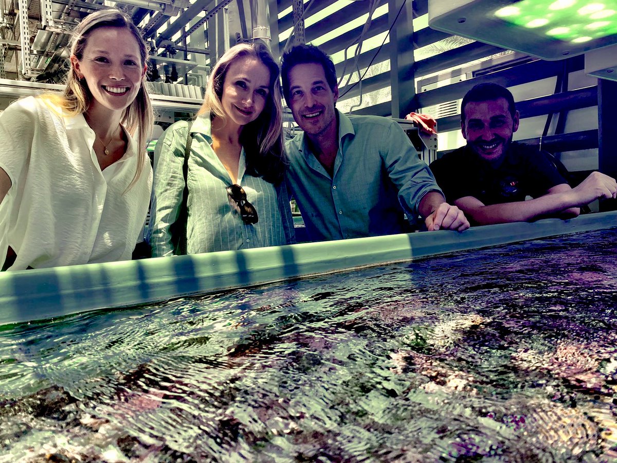 Great opportunity to present <a href="/acousteau/">Alexandra Cousteau</a> and her husband Fritz Neumeyer our #Maritechture #coralrestoration technologies during their visit <a href="/RSRC_KAUST/">Red Sea Research Center, KAUST</a>. On the photo with our team members <a href="/CassandraRoch/">Cassandra Roch</a> and <a href="/Alex_prie/">AlexPrieto</a> from <a href="/carlosduartephd/">Carlos Duarte</a> and @CoralSymBiomiX lab. #Oceans2050