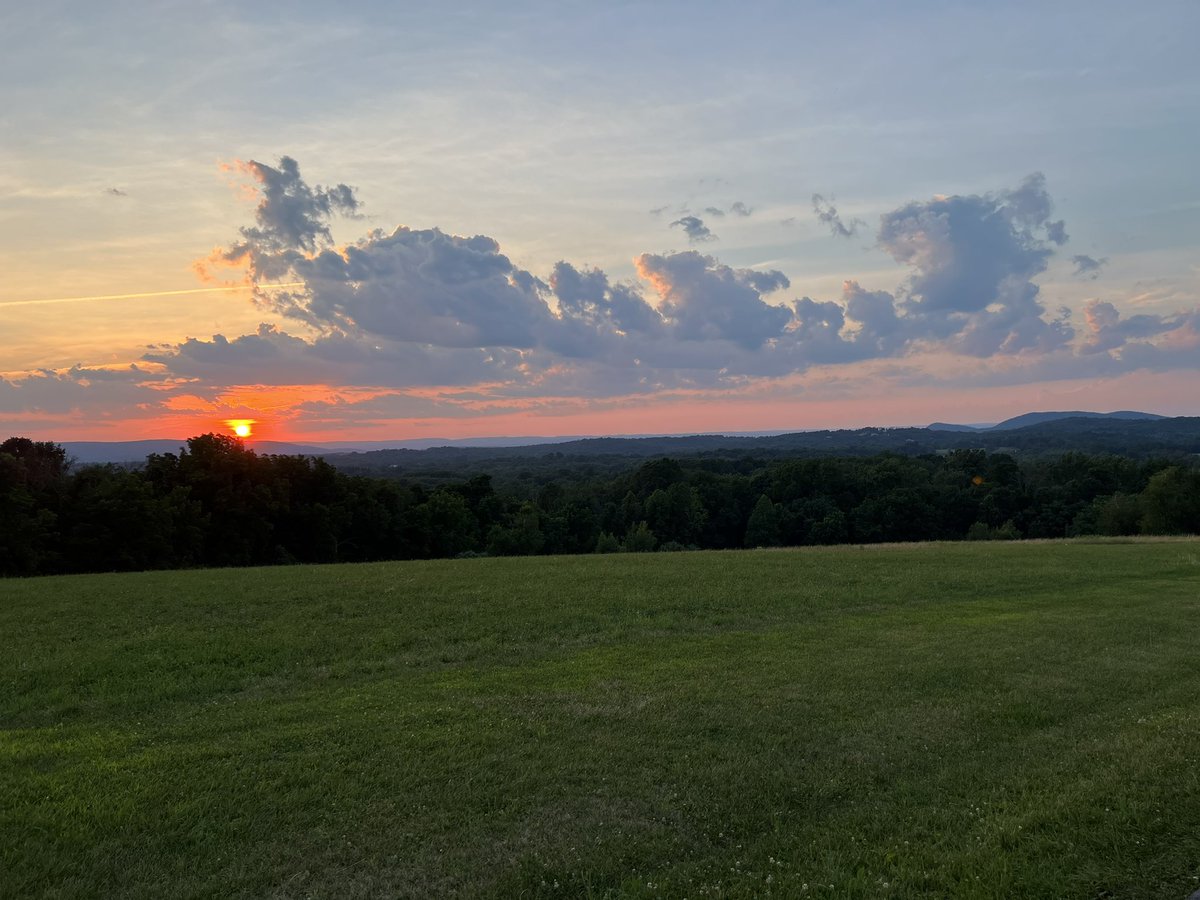 damarishill's tweet image. #WildSeeds #Sunsets