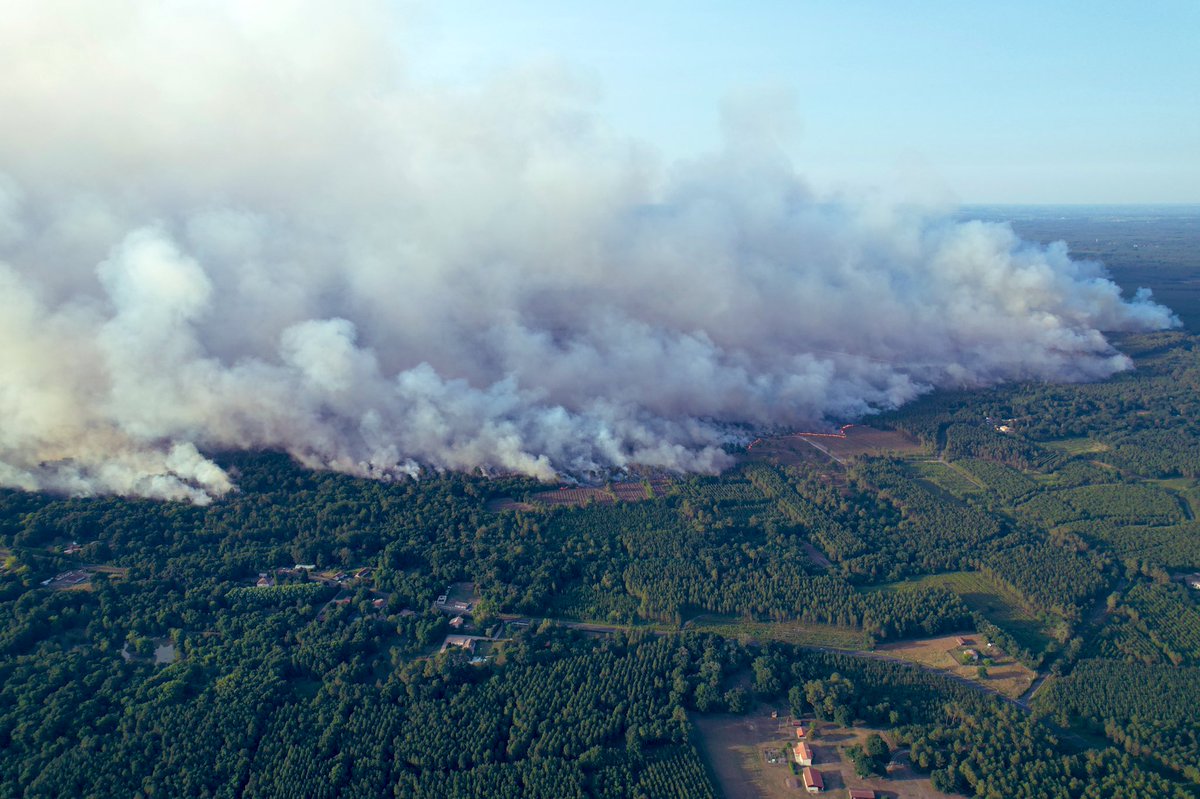JBrouqueyre's tweet photo. 1949, 1989, 2022, …

#Gironde #Landes #incendies

20 000 ha brûlés, soit + de 1,5% de la forêt des Landes de Gascogne en moins d’1 semaine

🌳 La forêt #sylviculture véritable poumon économique du secteur #sudgironde durement impactée
 
 Et demain ? https://t.co/elGEK6Ji3C
