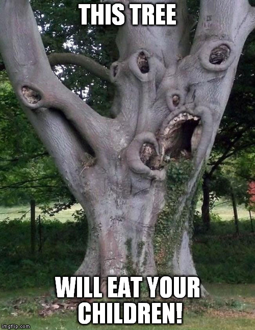 ellelljaytoo's tweet photo. #InMyMagicTreeHouse I rarely have unwanted visitors.
#treehugger #lightenup https://t.co/h2YrahaDYV