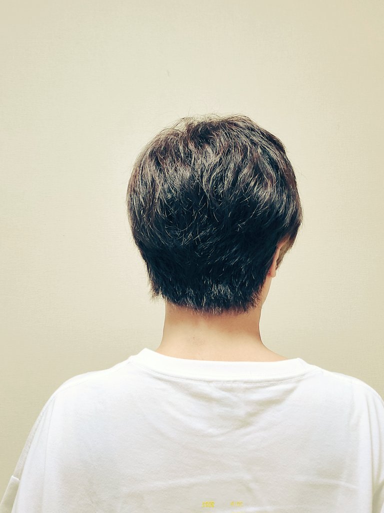 dmNONP's tweet photo. 息子中3ですがオカーチャン大知になりたくて切りました
大知識人11年目です。みうらみ、デビューさせていただきました

#三浦大知
#大知
#大知識人
#だいちゃー
#COLORLESSTOUR https://t.co/vPu2Ci1xJA