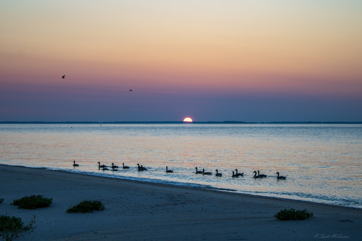 scottmcquinn1's tweet image. Get up and get out for a little morning exercise before the heatwave hits🥵 Calm on the Chesapeake Bay.  @fox5dc @TuckerFox5 @MatthewCappucci @MikeTFox5 @ErinFox5DC @caitlinrothfox5 @ClaireFox5DC @SOMDWxNews