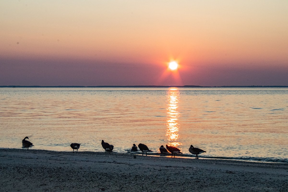 scottmcquinn1's tweet image. Get up and get out for a little morning exercise before the heatwave hits🥵 Calm on the Chesapeake Bay.  @fox5dc @TuckerFox5 @MatthewCappucci @MikeTFox5 @ErinFox5DC @caitlinrothfox5 @ClaireFox5DC @SOMDWxNews