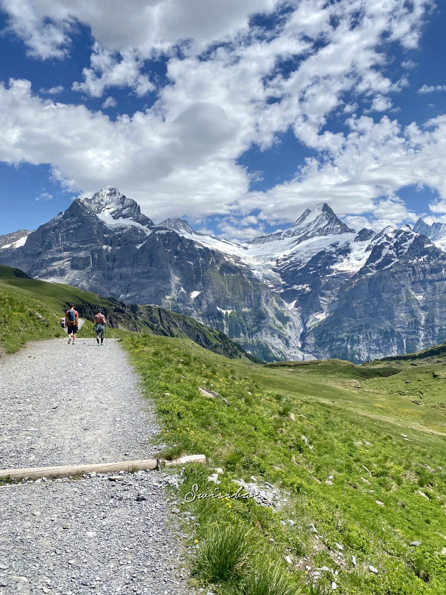 swissbae's tweet photo. พาเพื่อนเที่ยว Grindelwald First และเดินไป Bachalpsee 
ไปรอบนี้ไม่ได้เล่นเครื่องเล่นเลย มัวแต่ถ่ายรูปกันเพลินไปหน่อย = ทั้งวัน

ใครอยากเล่นเครื่องเล่น แนะนำให้เผื่อเวลาไปเล่นเครื่องเล่นด้วย คิวยาวมากเว่อ

📷  June 2022
#grindelwald #bachalpsee — in Grindelwald, Switzerland. https://t.co/plS2Z2HqiN