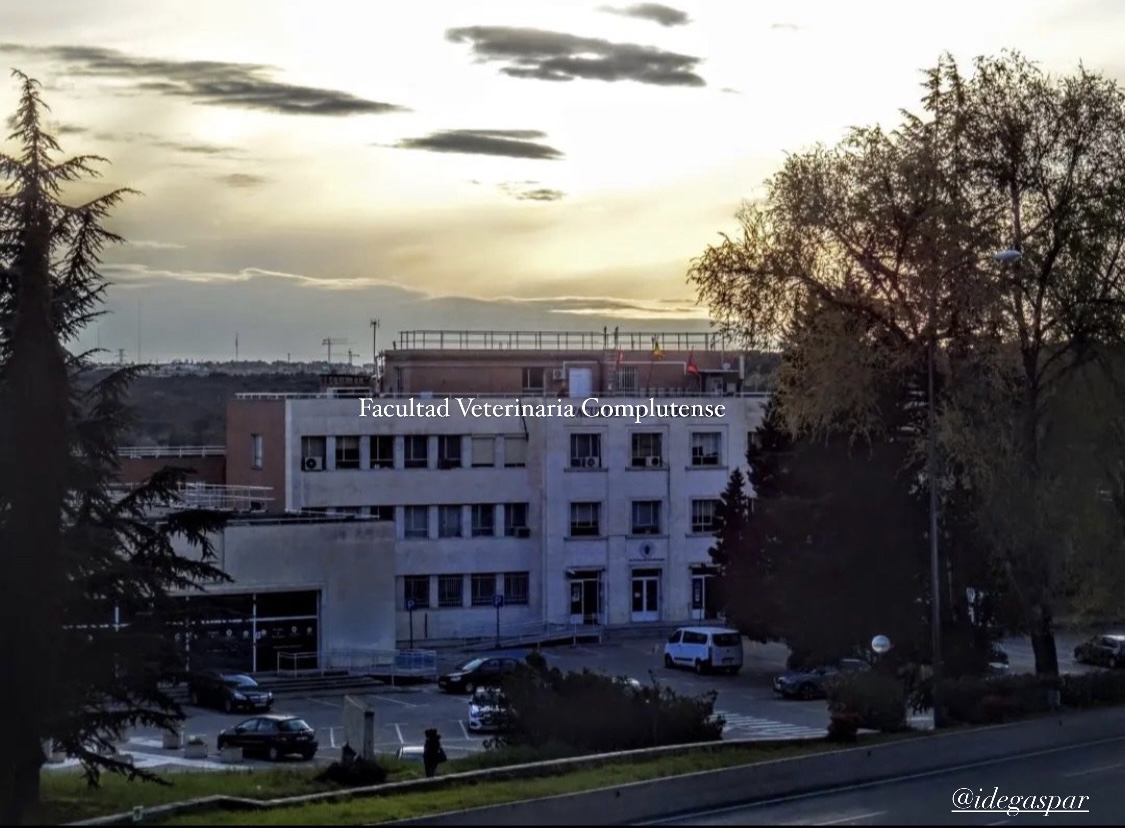 Estamos entre 150 mejores universidades del mundo, según <a href="/ShanghaiRanking/">ShanghaiRanking</a>
⭐️<a href="/VeterinariaUCM/">FVeterinariaUCM</a>, puesto 15 y 2ª España y #OdontologíaUCM (puesto 76-10 y 1ª España).
Entre las 150 mejores: <a href="/MatematicasUCM/">Matemáticas UCM</a>; #IngenieríaBiomédica (1ª España); #CienciayTecnologíaAlimentos y #Turismo ⭐️