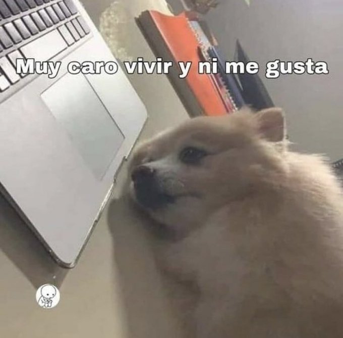 paracetamor's tweet photo. Me han cobrado la trimestral... https://t.co/QZTA0lSGgr