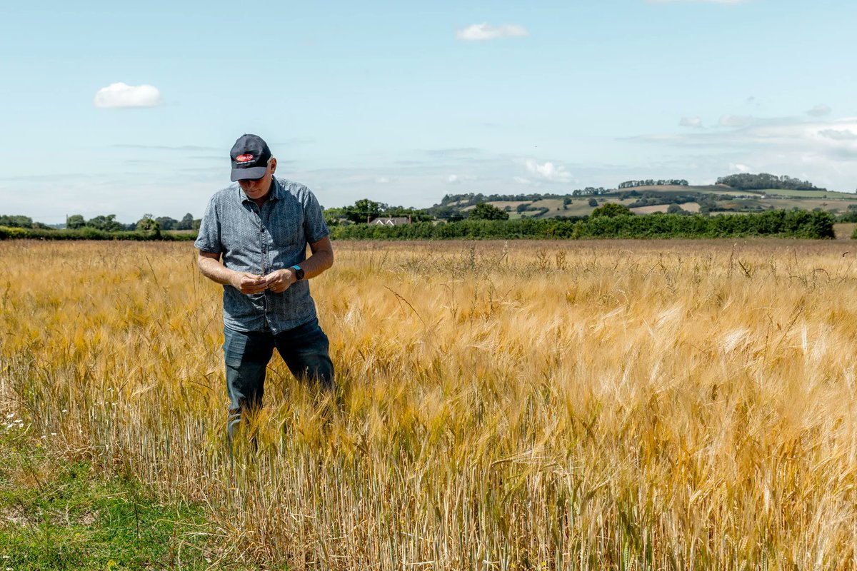 Recently we took a lucky group of people on a walking tour of sunny Godminster Farm where we introduced our ethos 'nature repays those who treat her kindly' and discussed all things organic farming!

Join us for our tasting event this Friday: buff.ly/3Pf3tIo?